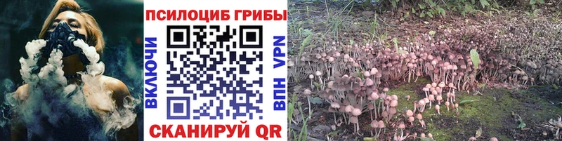 где купить наркоту  Ворсма  OMG   Псилоцибиновые грибы мицелий 